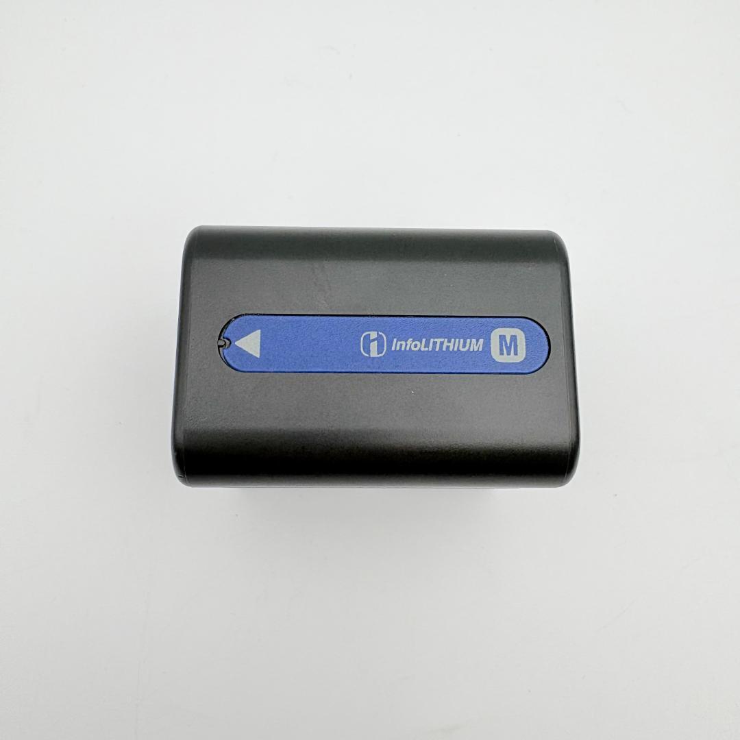 SONY ソニー デジタルビデオカメラ ハンディカム DCR-TRV10