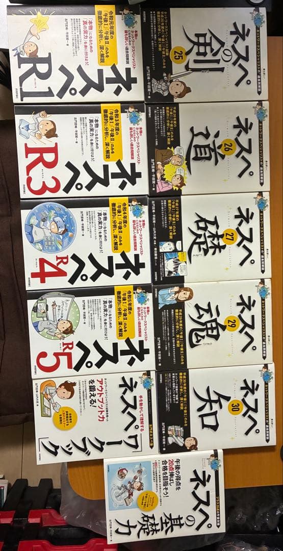 ネスペ 過去問解説