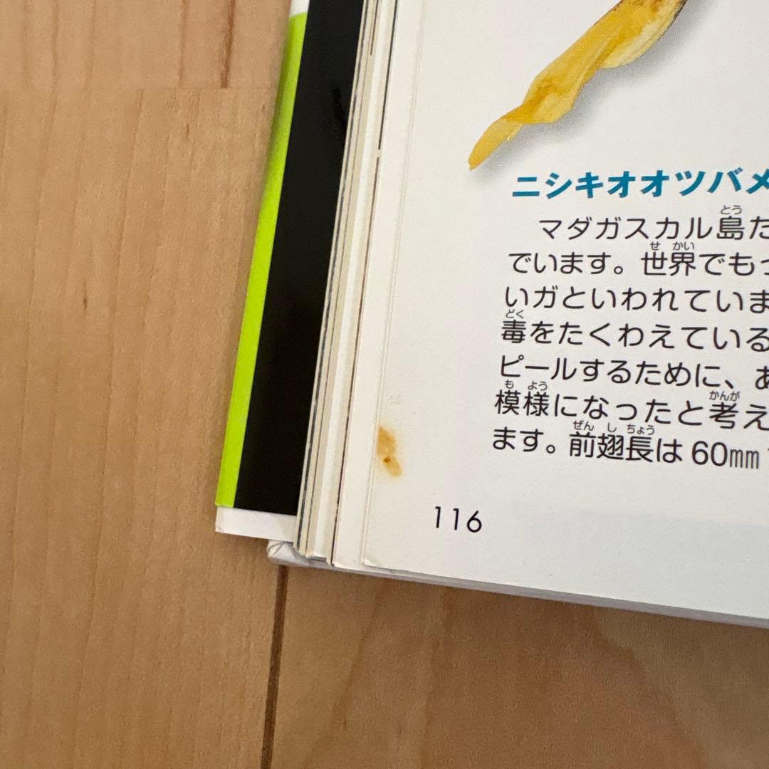 T*N様 図鑑19冊セット