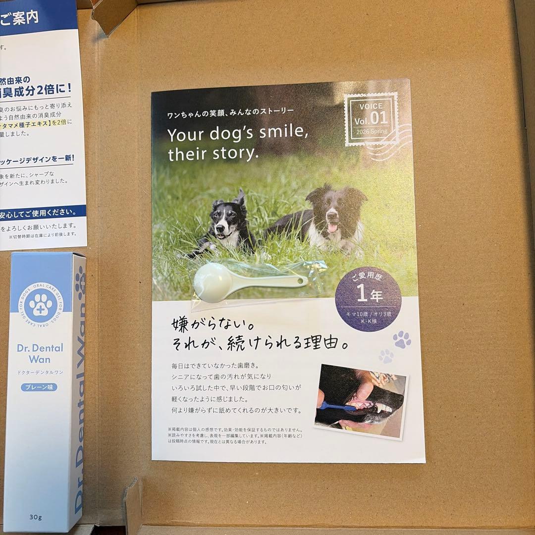 新品未使用未開封サンテミナD r.dental wan4本セット