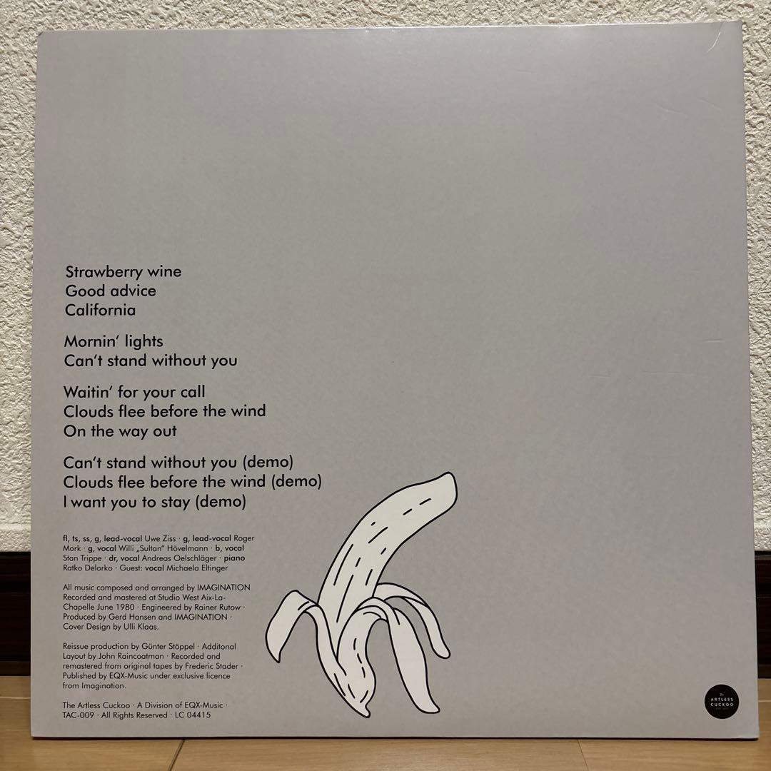 Imagination Shake It レコード LP vinyl アナログ