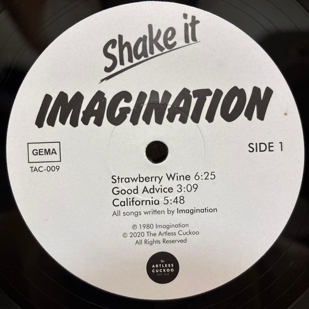 Imagination Shake It レコード LP vinyl アナログ