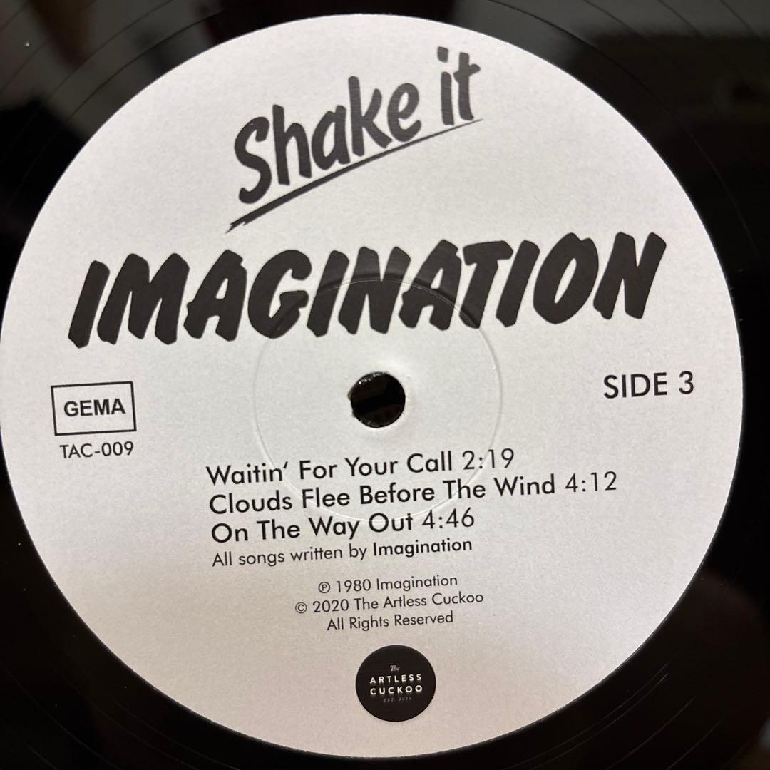 Imagination Shake It レコード LP vinyl アナログ