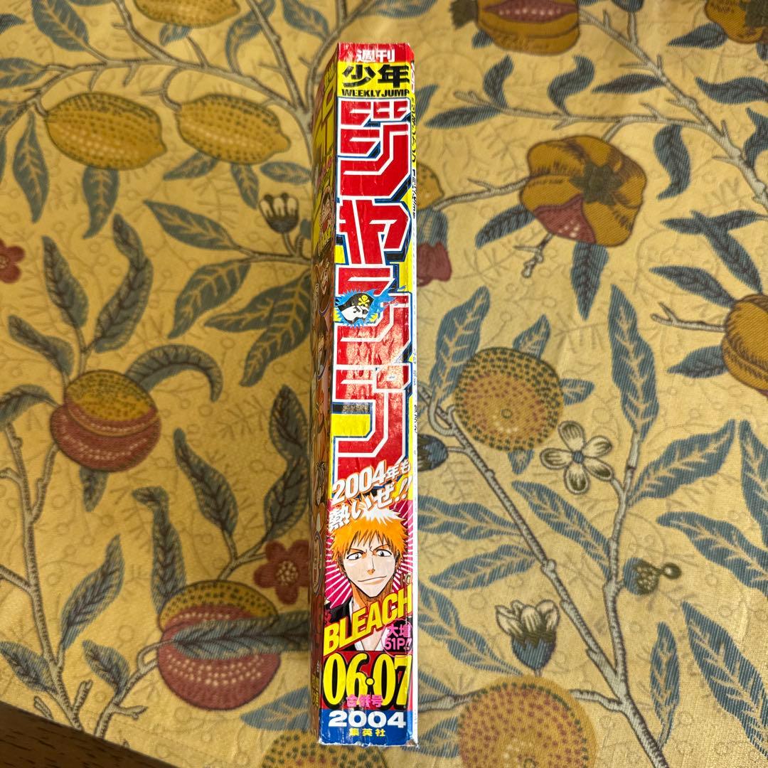 週刊少年ジャンプ 2004年06/07号