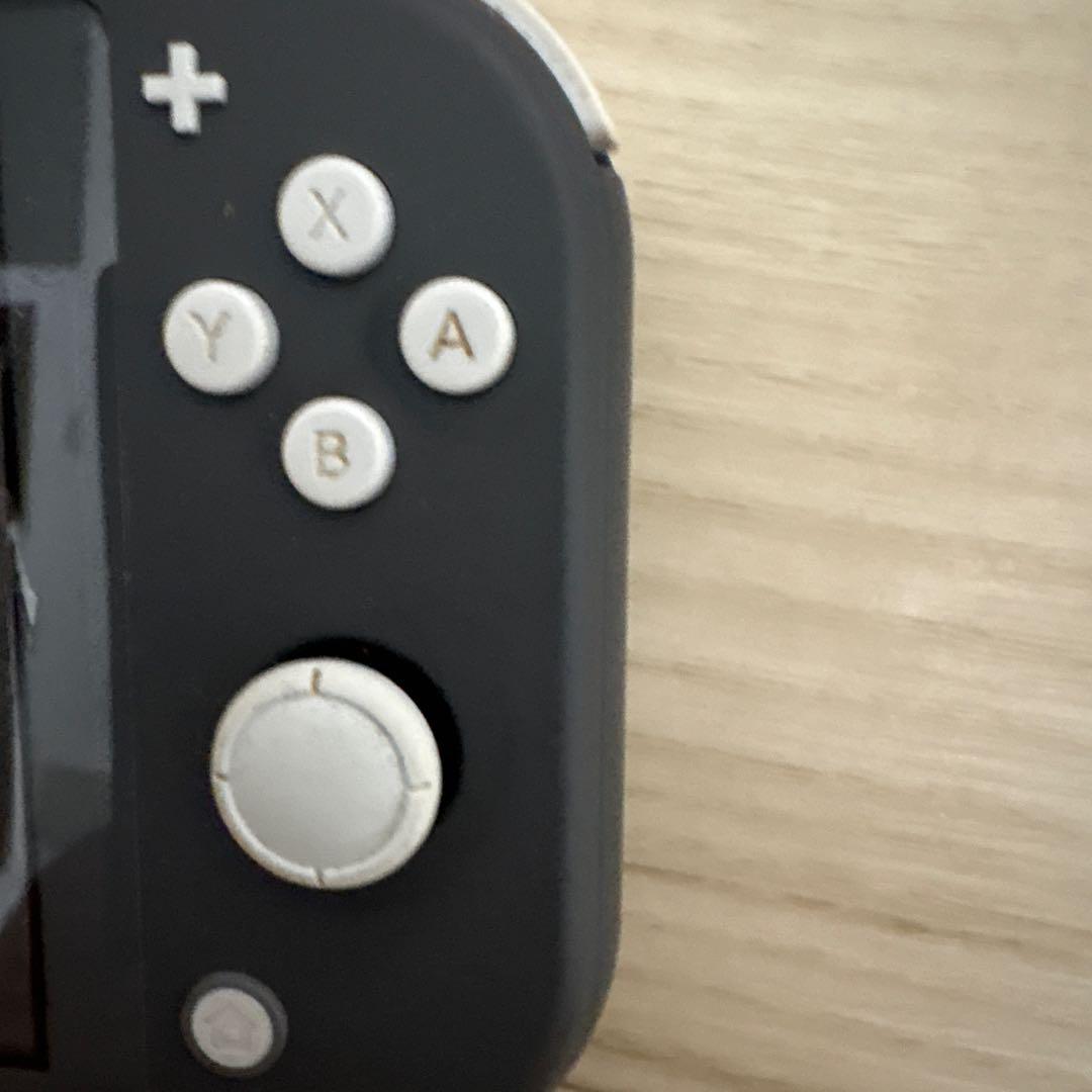 Nintendo Switch Lite グレー 本体＋ハードケース