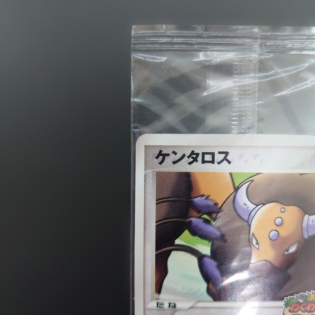 ポケモンカードゲーム ケンタロス 049/PCG-P わくわくサファリ 未開封