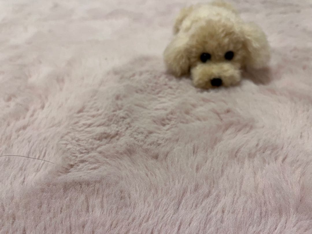 うさぎ トイプードル編みぐるみ（植毛）犬【伏せ】【お座り】アプリコット