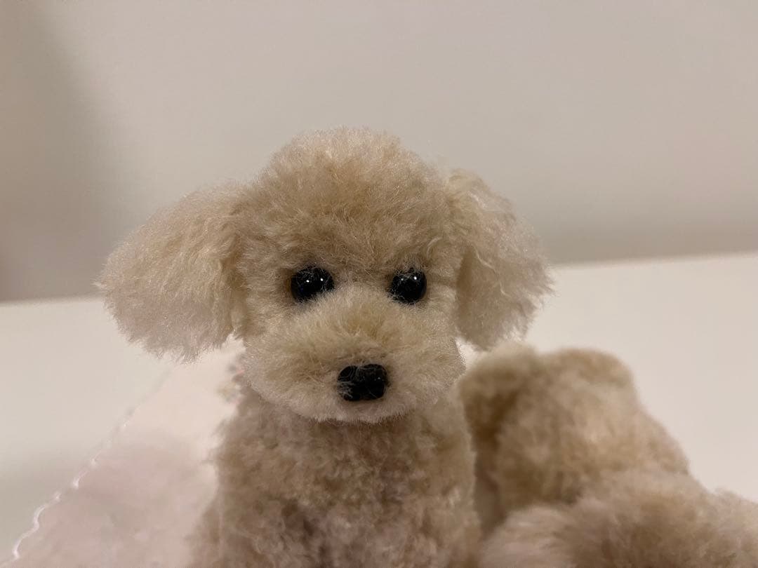 うさぎ トイプードル編みぐるみ（植毛）犬【伏せ】【お座り】アプリコット