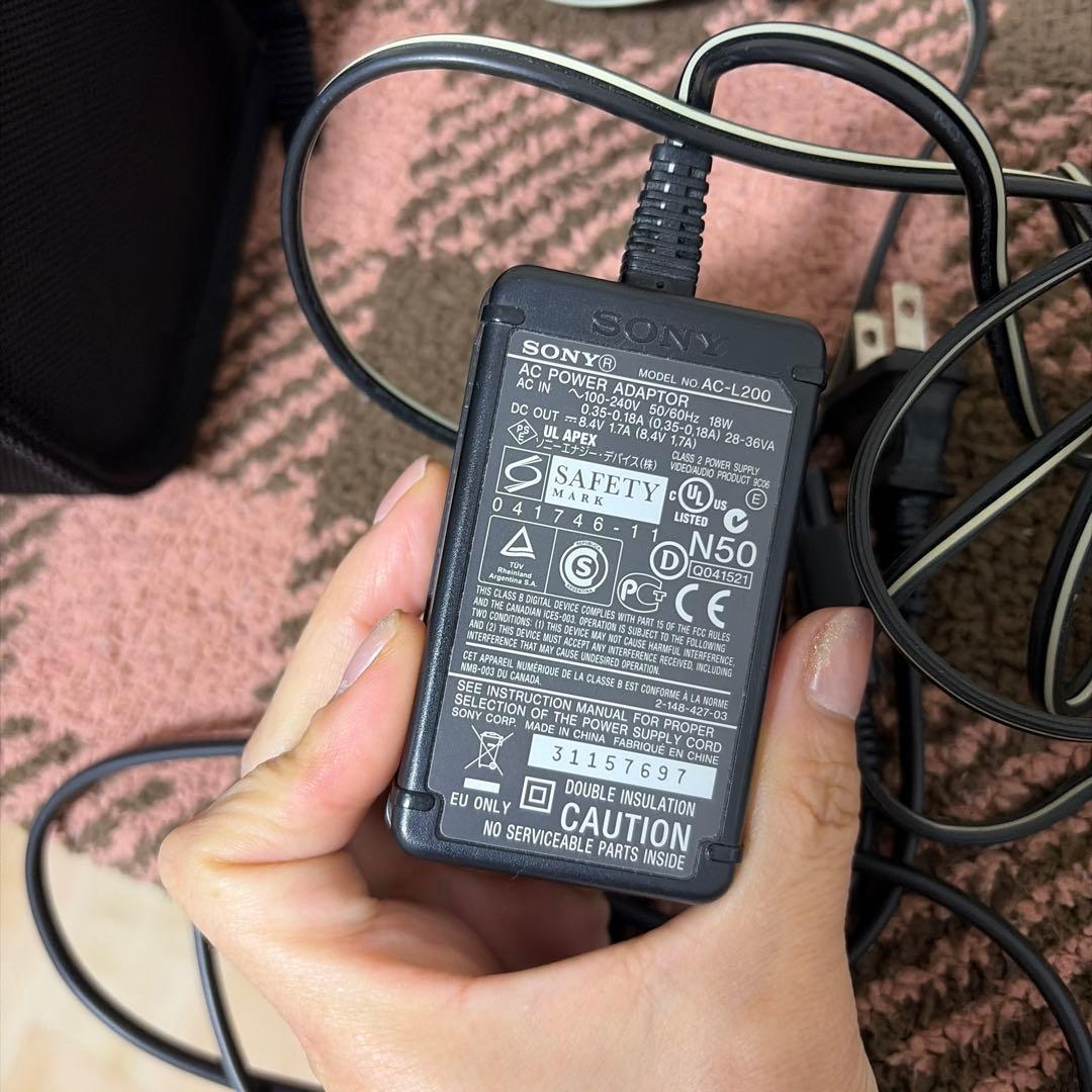 SONY HDD30GB搭載 デジタルビデオカメラ DCR-SR100