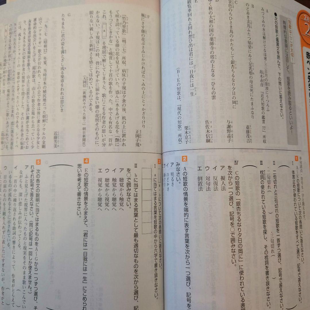 進研ゼミ中学生コース　中高一貫スタンダード中1　2024/4〜2025/2　美品