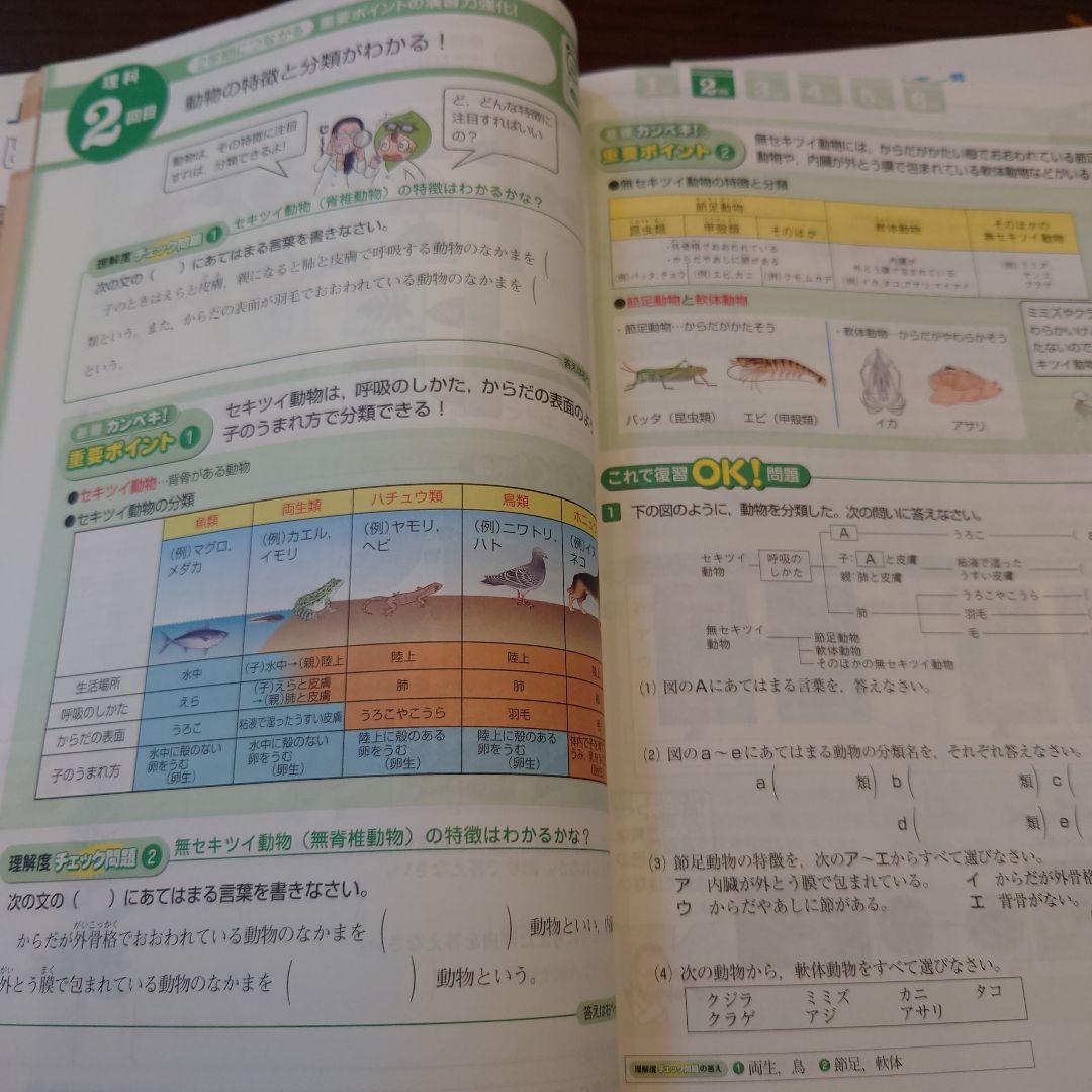 進研ゼミ中学生コース　中高一貫スタンダード中1　2024/4〜2025/2　美品