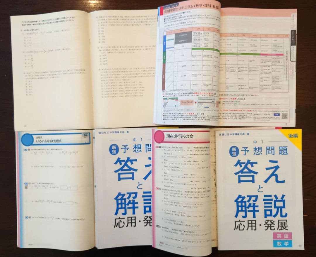 進研ゼミ中学生コース　中高一貫スタンダード中1　2024/4〜2025/2　美品
