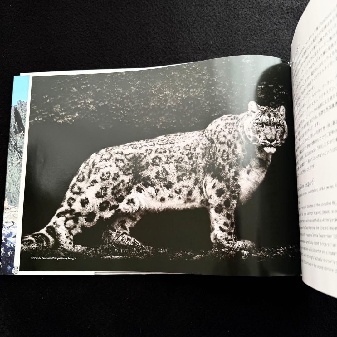 【絶版】「神の獣 雪豹」秋山知伸 監修 2019年 ラーテルハート WWF