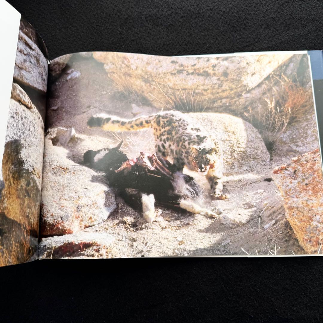 【絶版】「神の獣 雪豹」秋山知伸 監修 2019年 ラーテルハート WWF