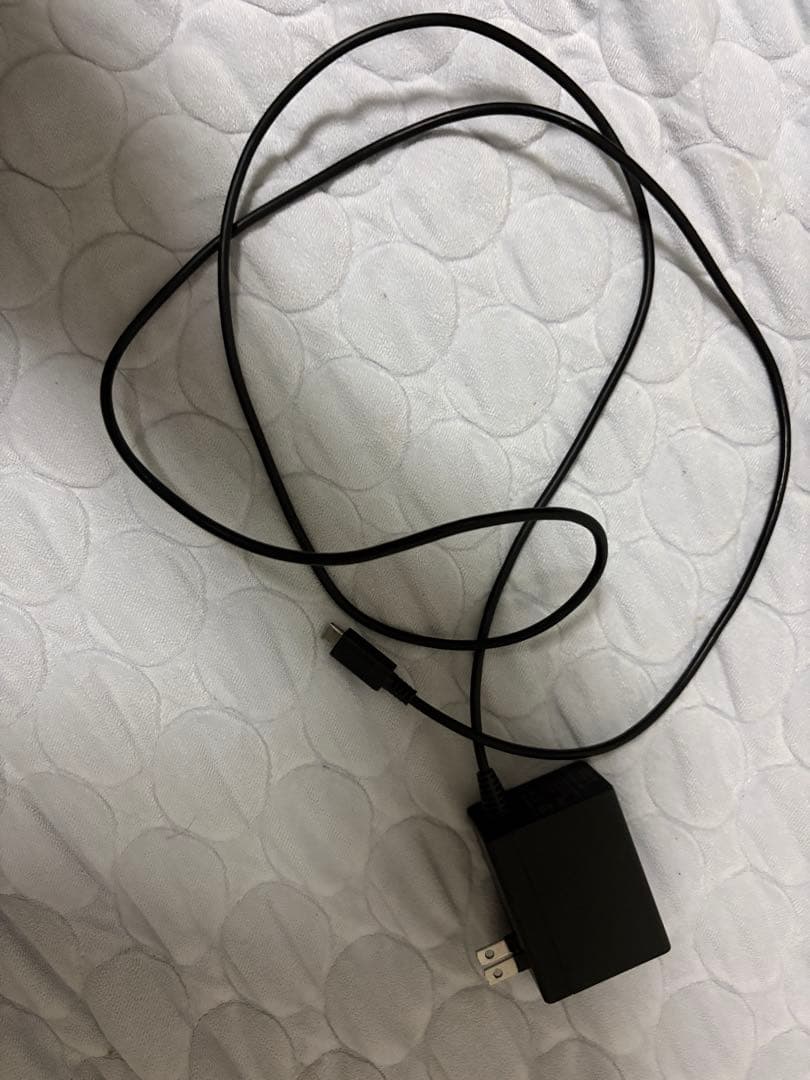 Nintendo Switch 本体➕ドッグ➕充電器➕HDMI