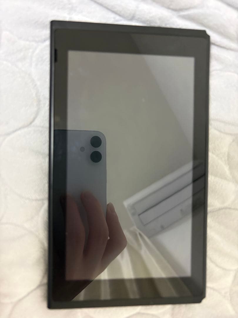 Nintendo Switch 本体➕ドッグ➕充電器➕HDMI