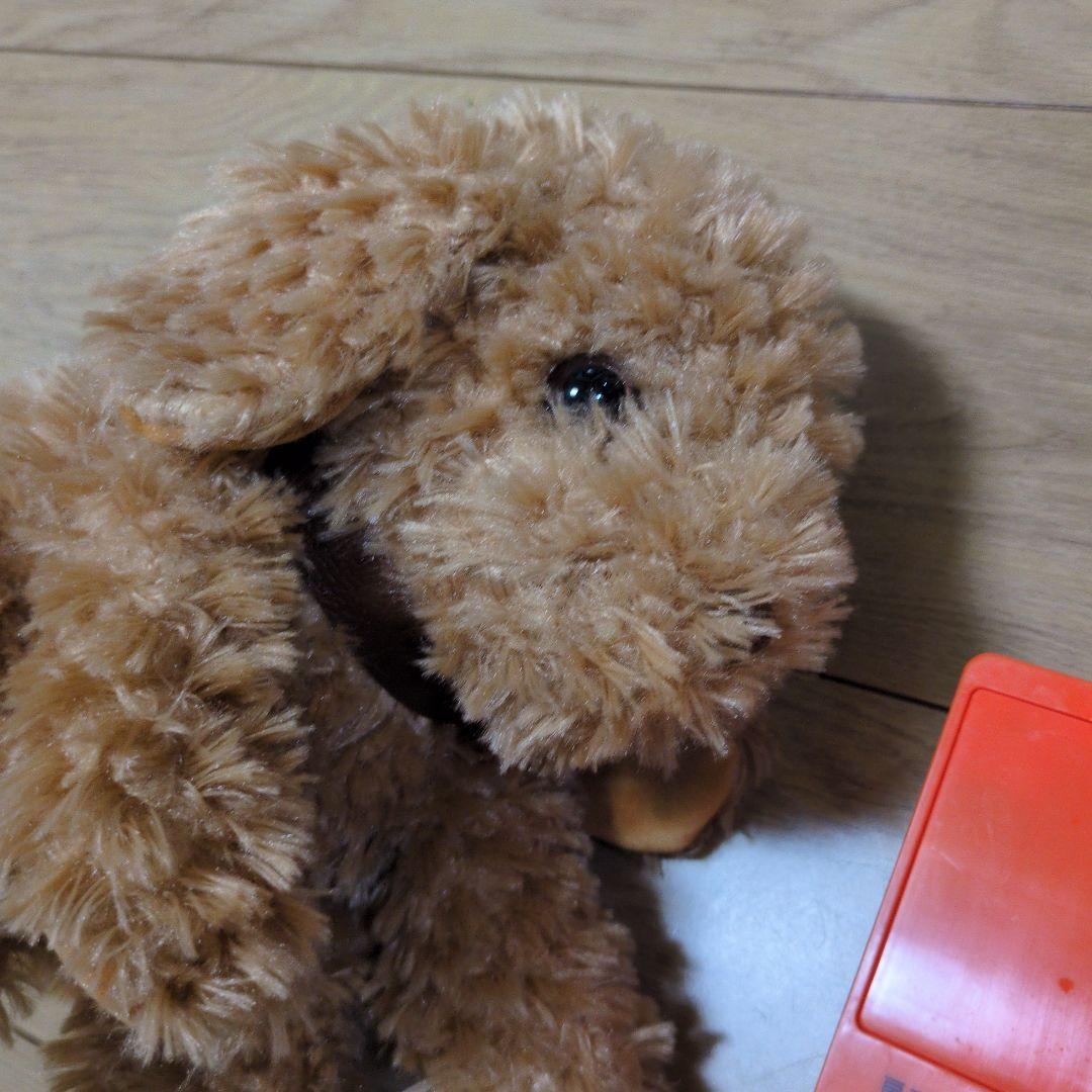 美品 おしゃべりトイプードル しゃべる犬 音声認識ぬいぐるみ 大人向け かわいい