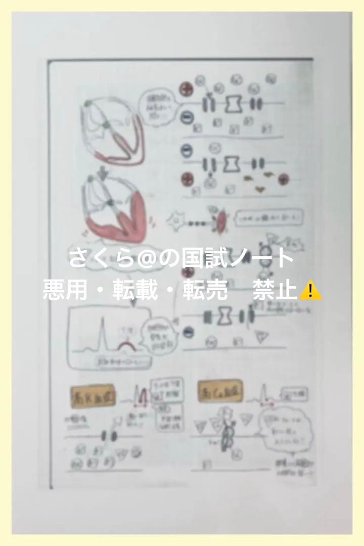 看護【国試対策ノート】【基礎】+【病態】A4サイズ余白あり！勉強・暗記に大活躍！