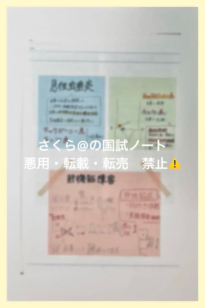 看護【国試対策ノート】【基礎】+【病態】A4サイズ余白あり！勉強・暗記に大活躍！