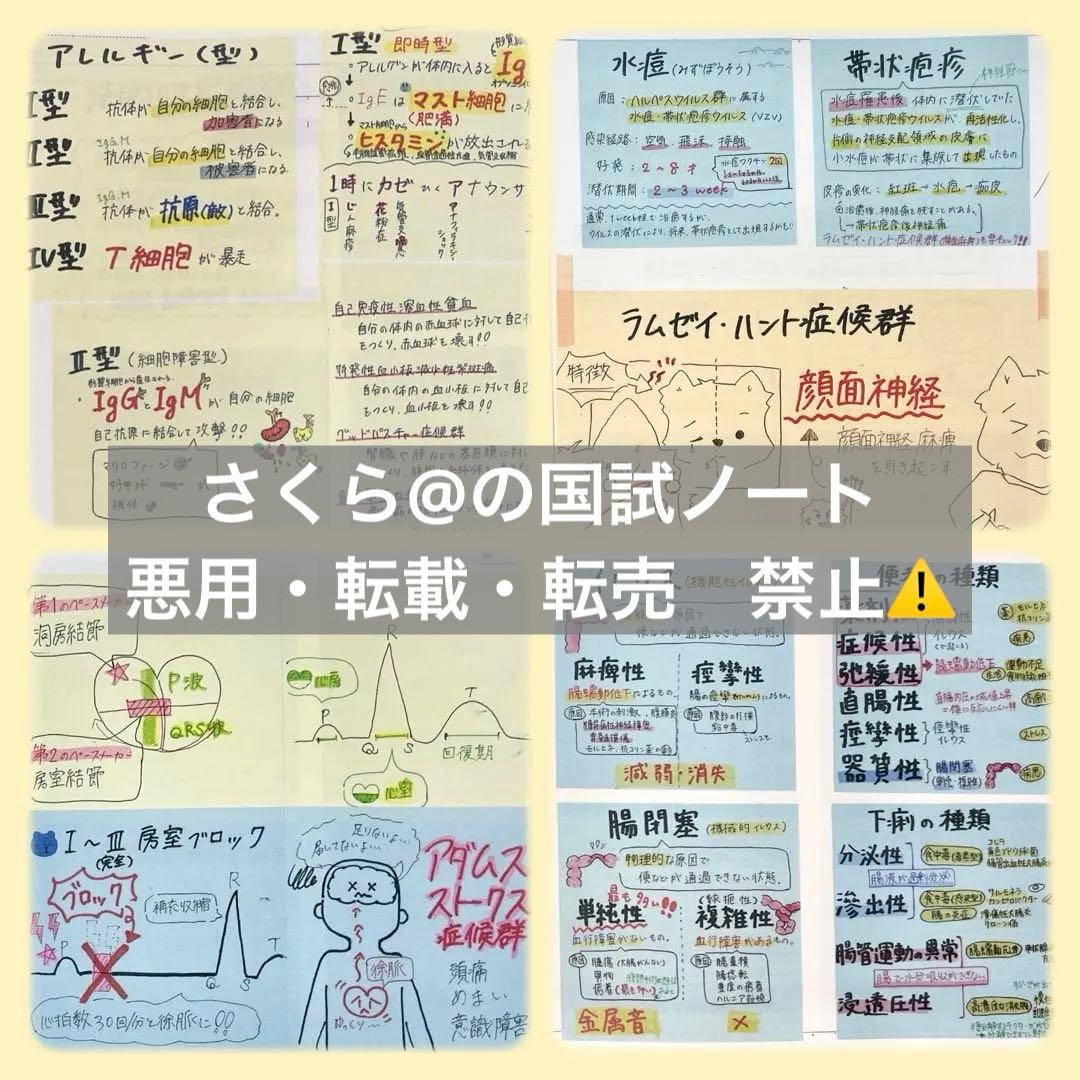 看護【国試対策ノート】【基礎】+【病態】A4サイズ余白あり！勉強・暗記に大活躍！