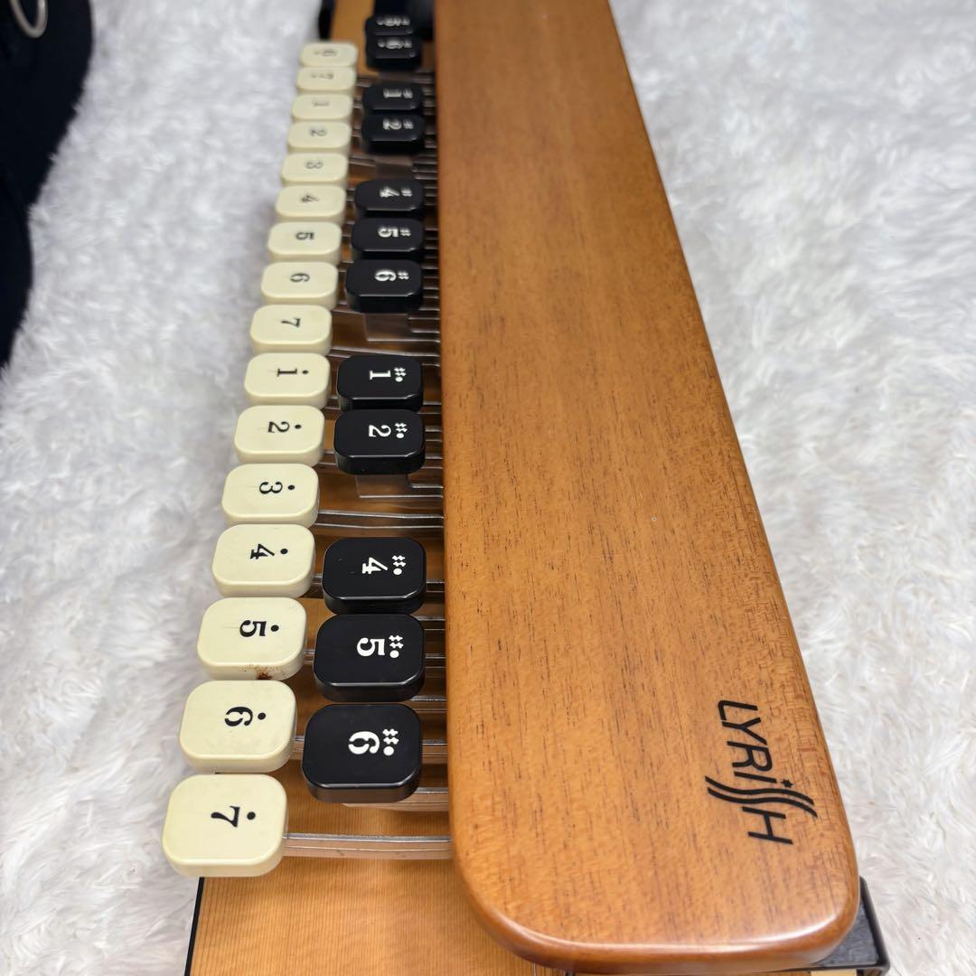 LYRISH ライリッシュ 大正琴 LPS50 和楽器　専用ソフトケース付き