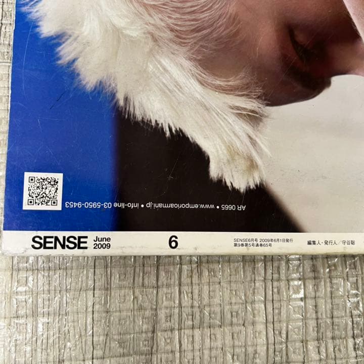 絶版！ SENSE センス 2009年 6月 TENDERLOIN GUCCI