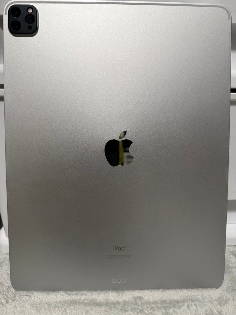 iPad Pro 12.9-inch 512GB＋Apple Pencil＋α