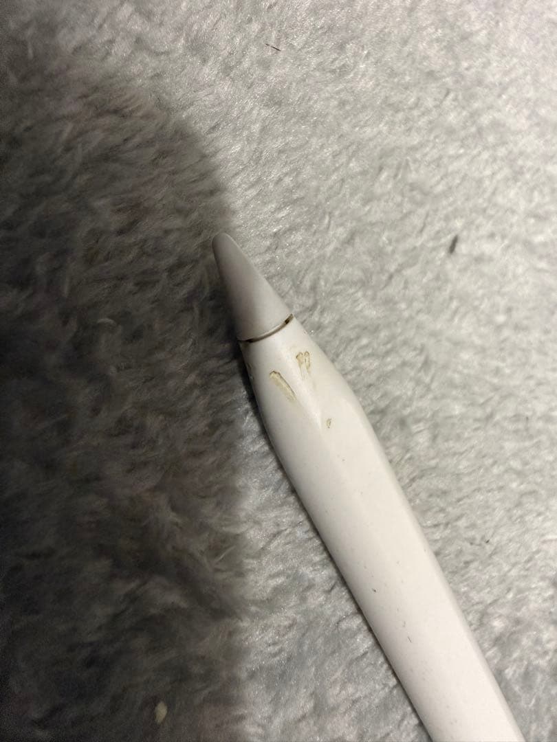 iPad Pro 12.9-inch 512GB＋Apple Pencil＋α