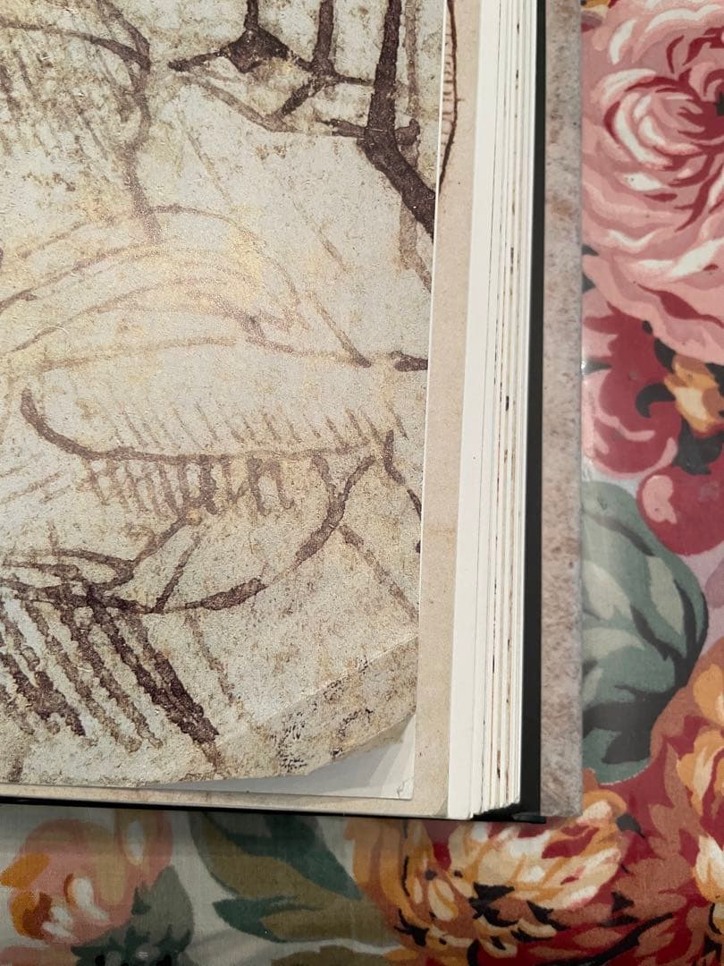 レオナルド　ダヴィンチ 全絵画作品　素描集 英語　フランク　ツォルナー
