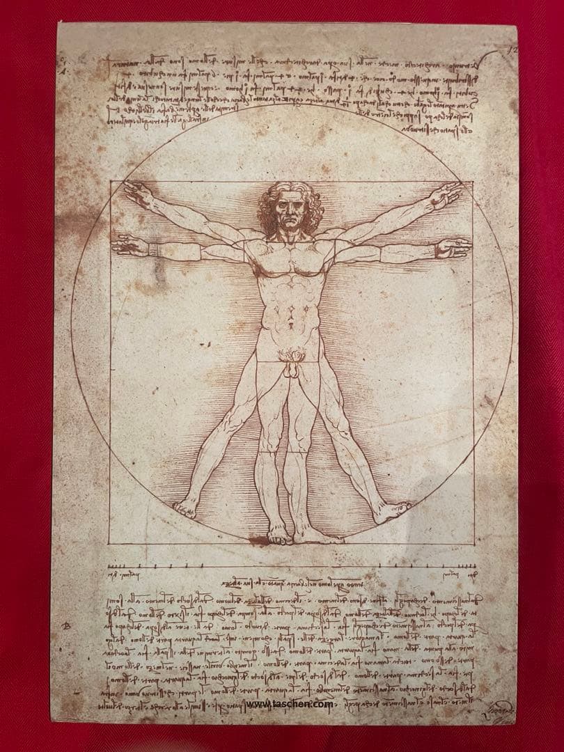 レオナルド　ダヴィンチ 全絵画作品　素描集 英語　フランク　ツォルナー