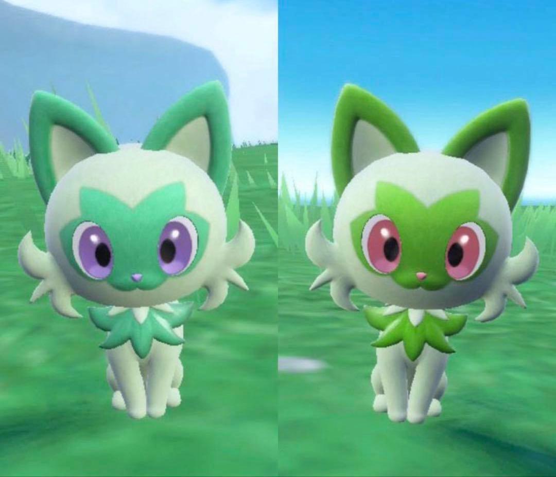ポケモン 色違い ニャオハ ぬいぐるみ マスコット 60cm ポケットモンスター