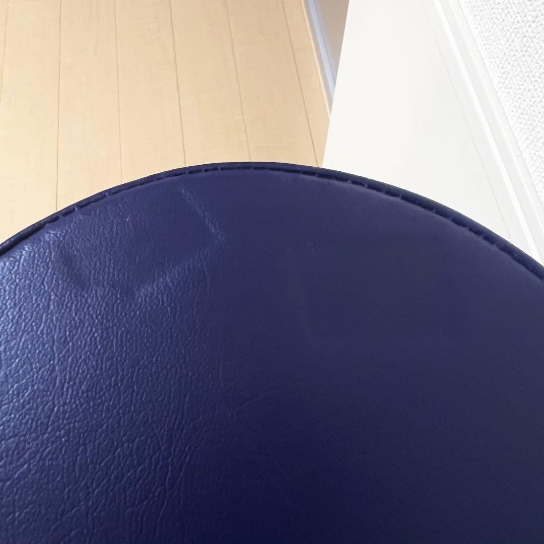 LPN 正規品 ストレッチポールEX ネイビー