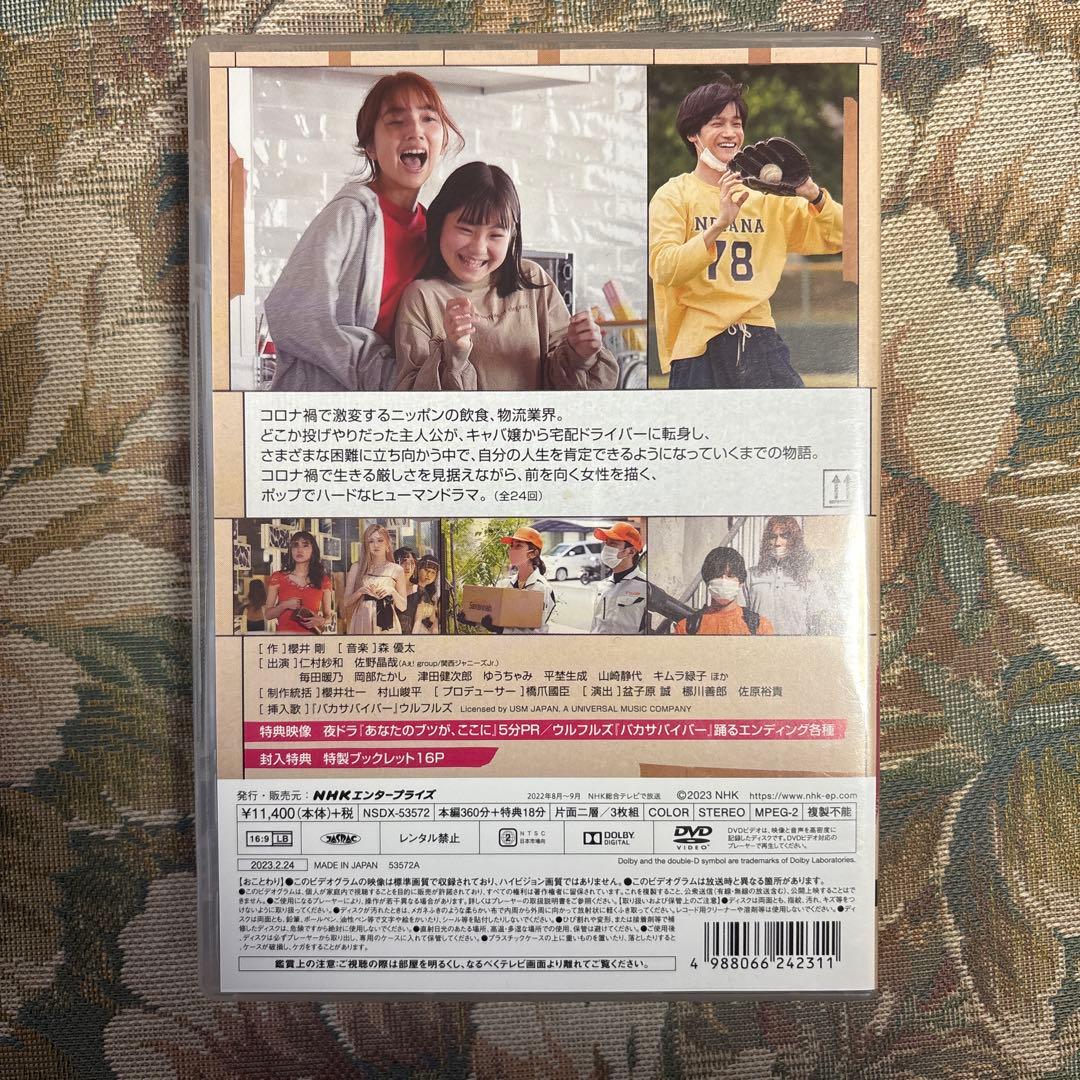 あなたのブツが,ここに〈3枚組〉　DVD