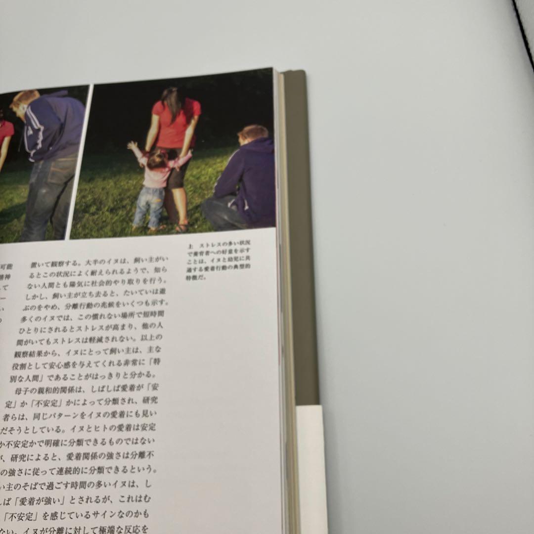 美品　帯付き　イヌの博物図鑑 アーダーム・ミクローシ 著