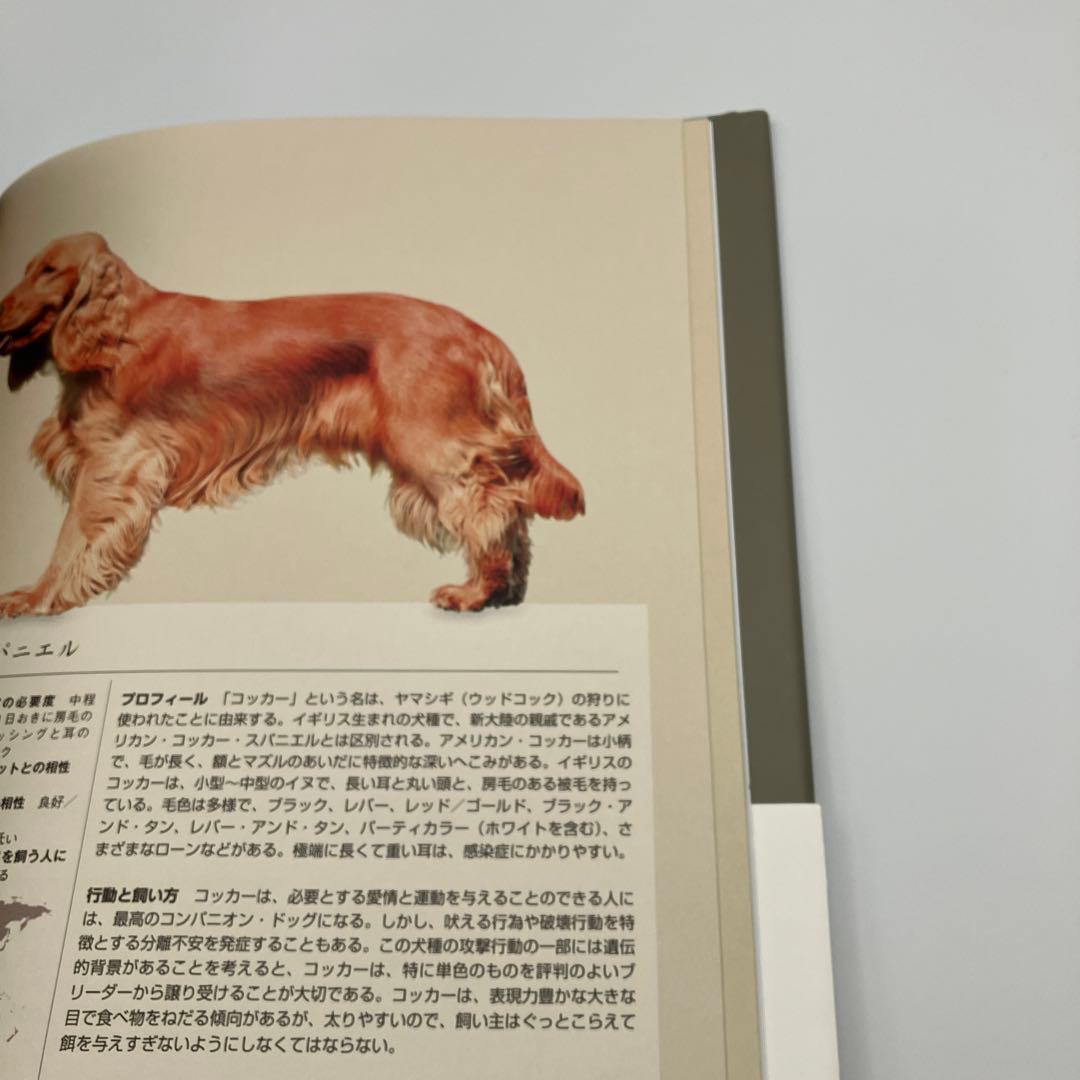 美品　帯付き　イヌの博物図鑑 アーダーム・ミクローシ 著