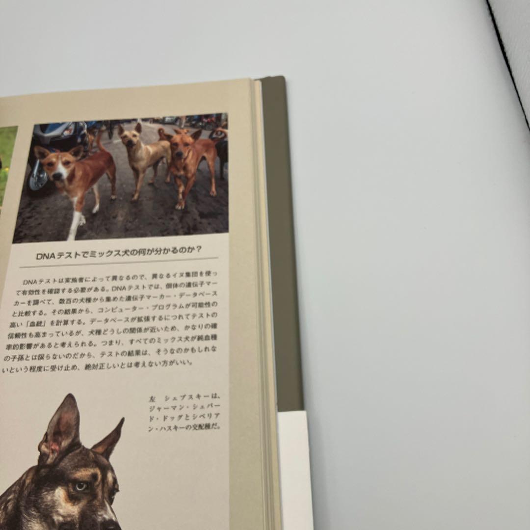 美品　帯付き　イヌの博物図鑑 アーダーム・ミクローシ 著