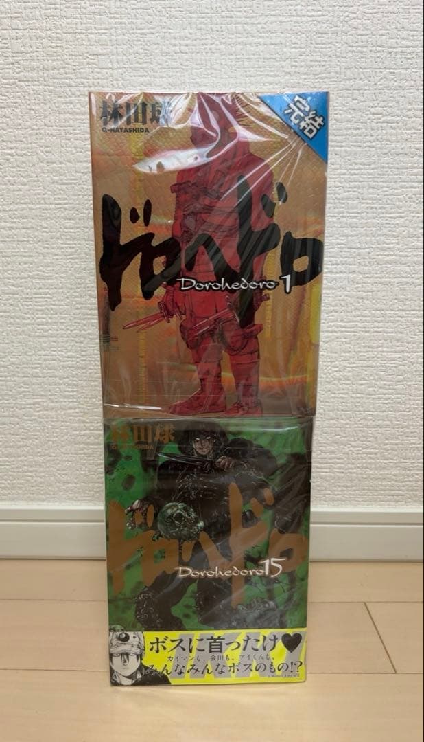ドロヘドロ全23巻+オールスター名鑑完全版のセット　林田球