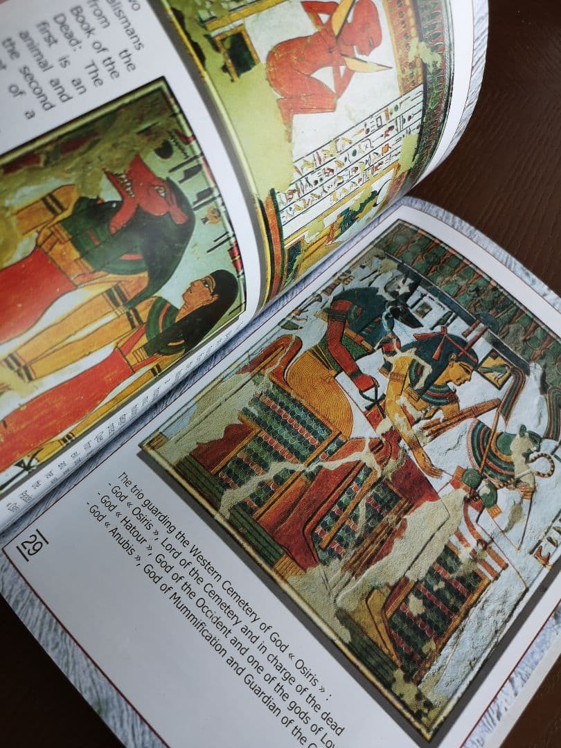現地購入 エジプト The tomb of Nefertari ネフェルタリの墓
