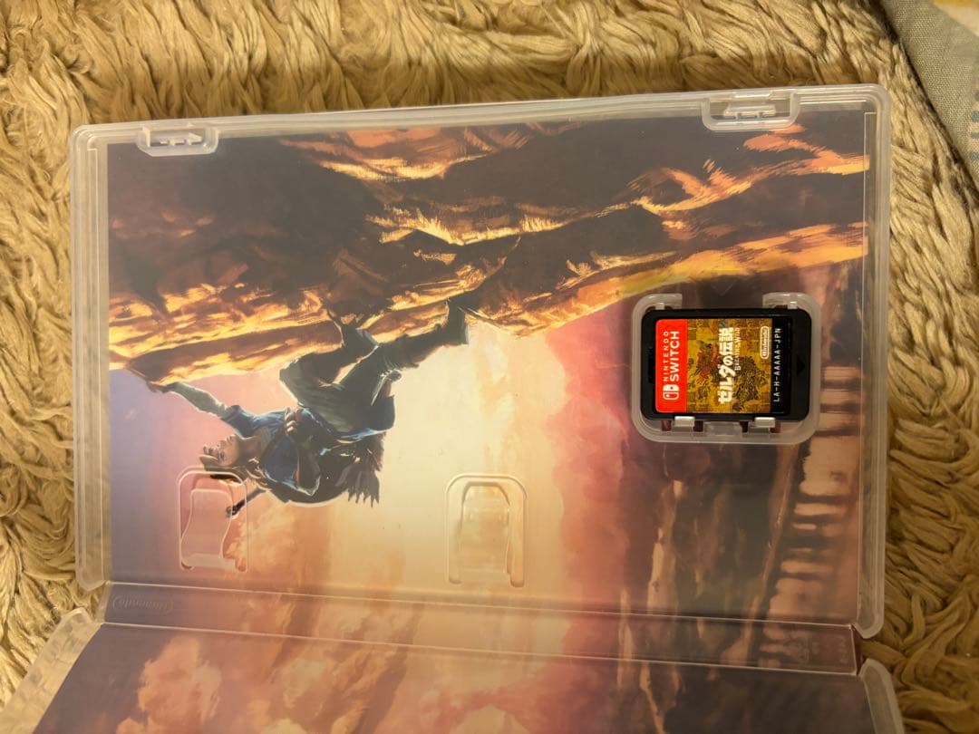 H ゼルダ無双 厄災の黙示録 Nintendo Switch