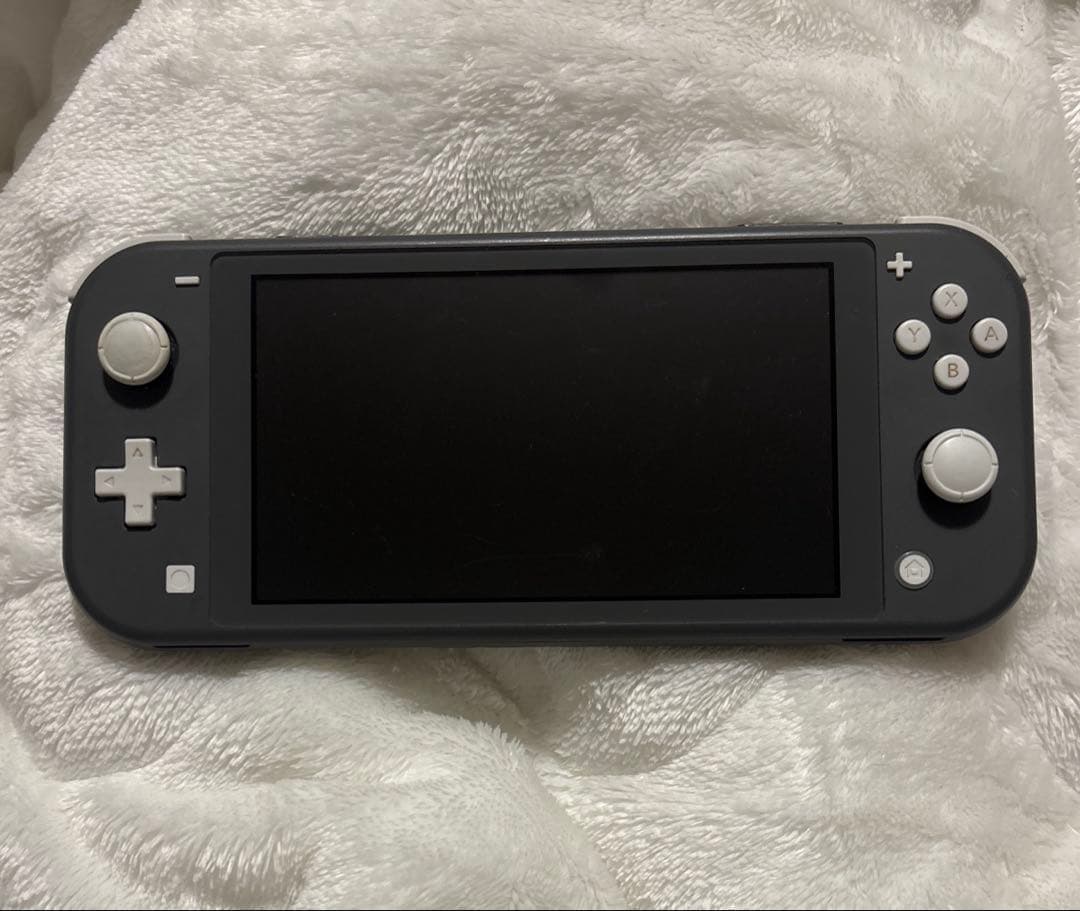 Switch Lite グレー 本体 動作確認済み 初期化済み 一部不具合あり
