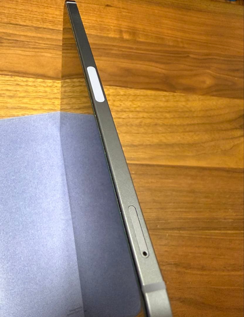 Apple iPad mini 第6世代セルラー256GB (純正ケース付き)