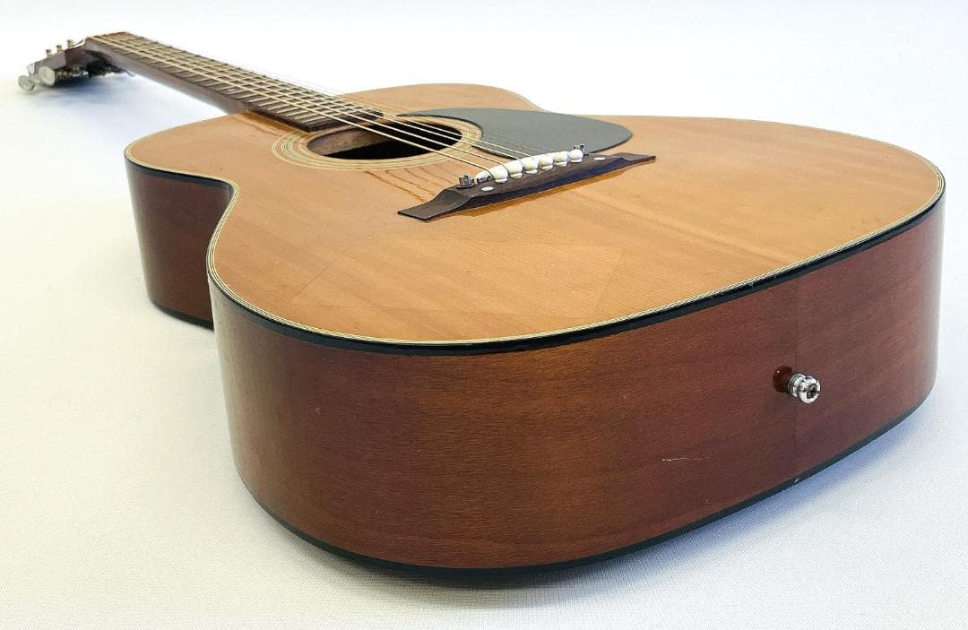 Maya F301 アコースティックギター【整備品】