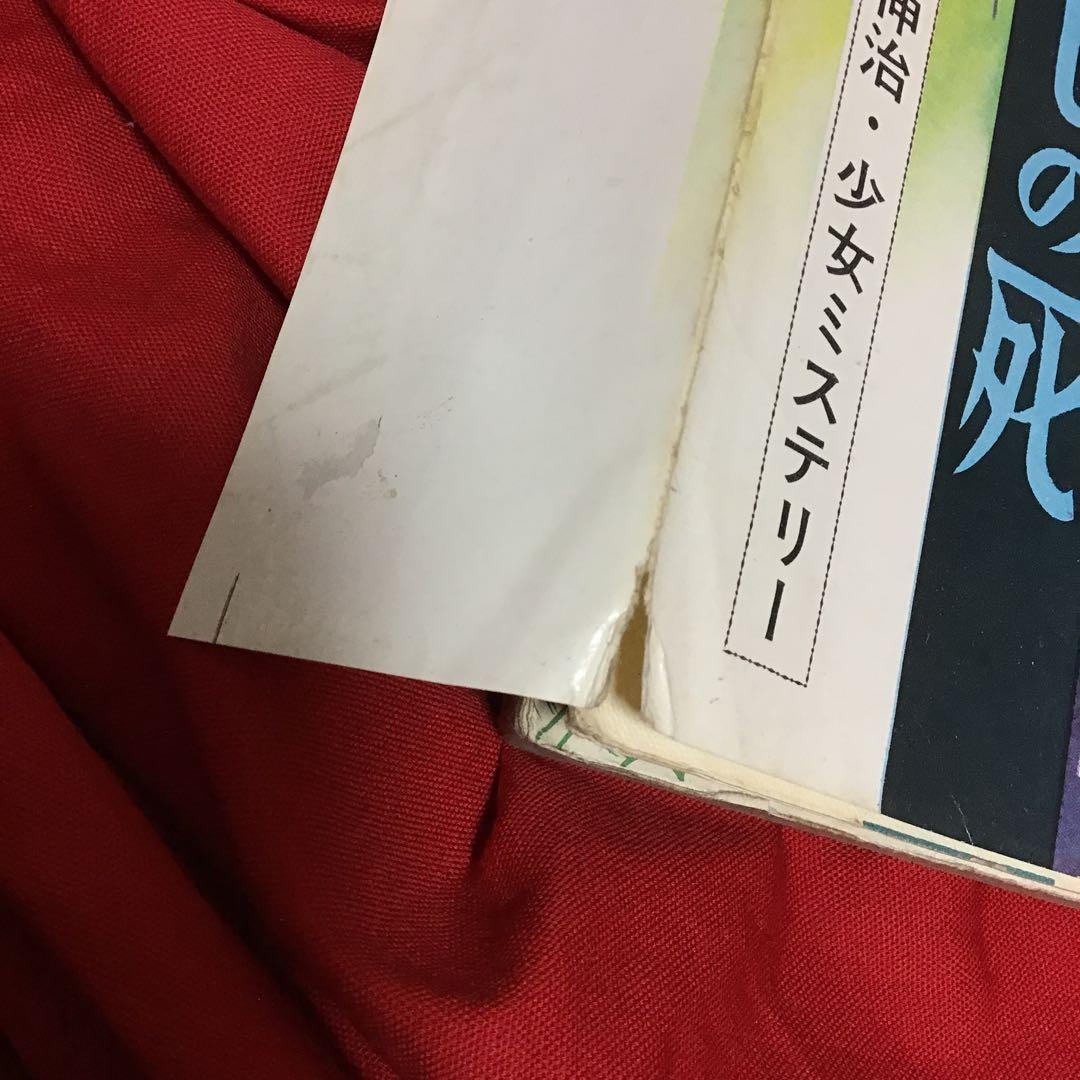 池川伸二　少女ミステリー　げじげじの死