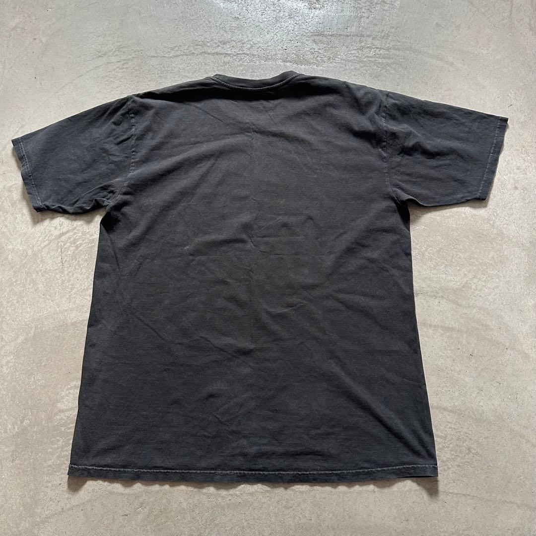 stussy ピグメントダイ フェード◎ アーチロゴ