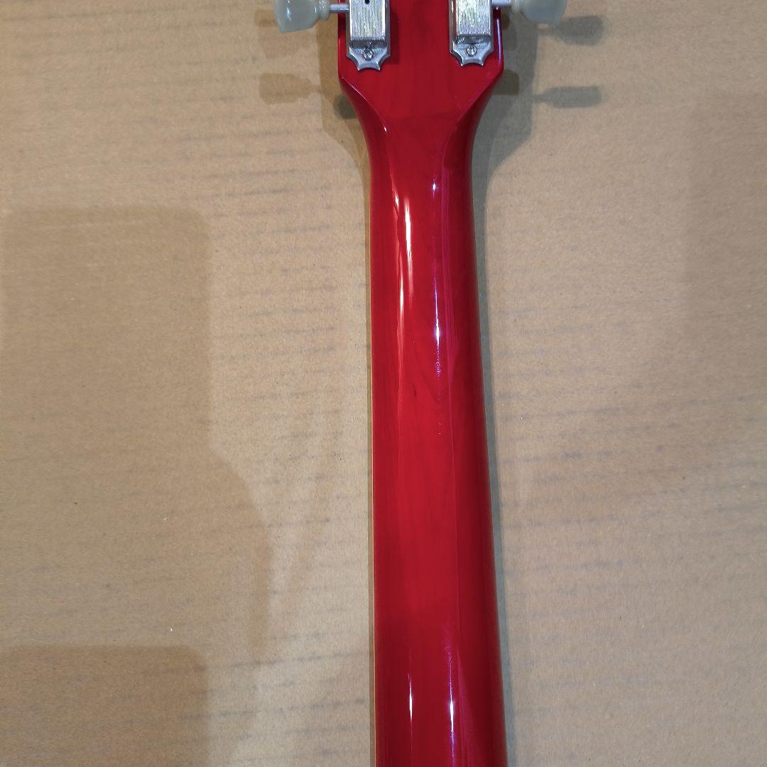 Burny RSA-55 ES-335コピーモデル