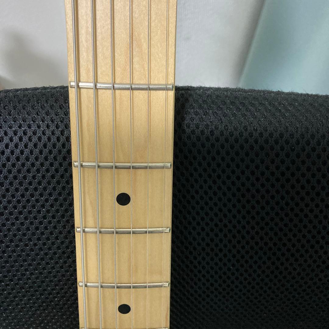 フジゲン　FUJIGEN J-Standard JST-5M