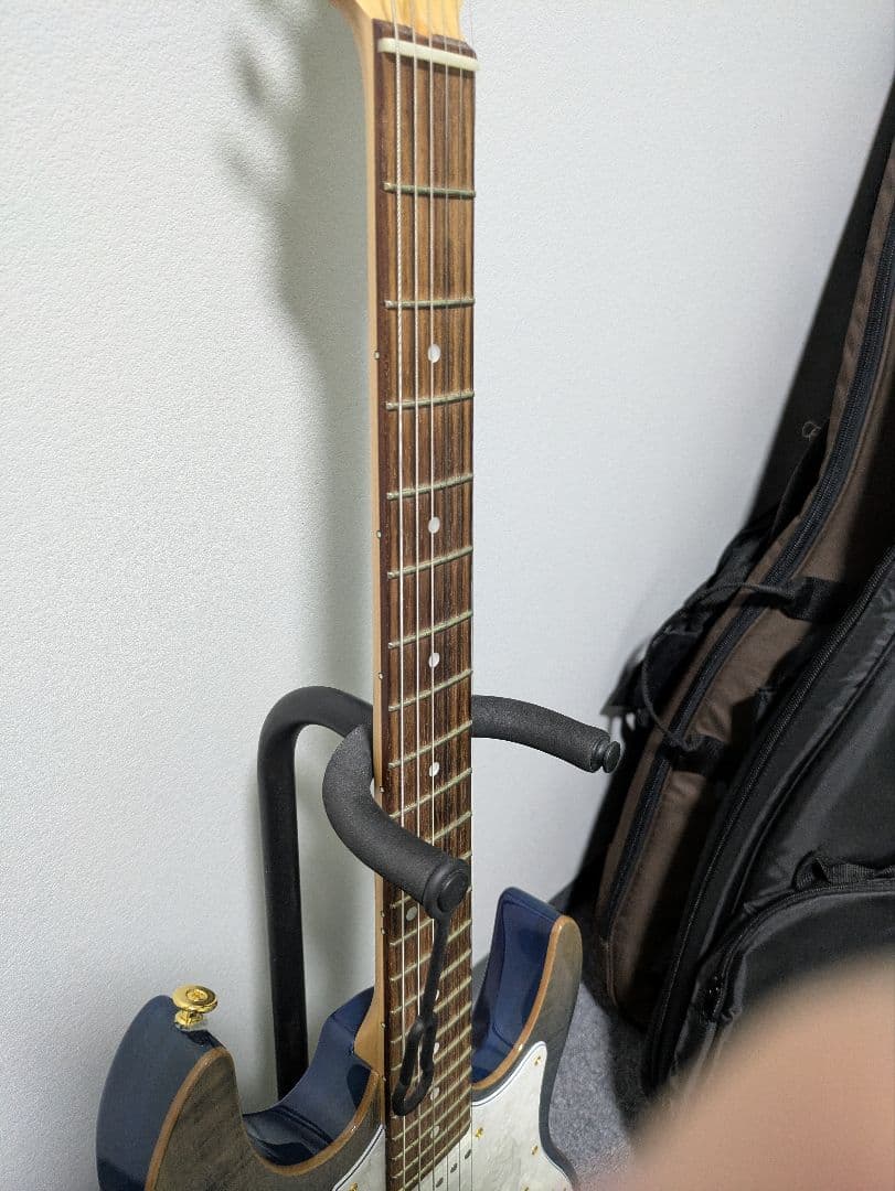 Fujigen EOS2-FM-R/NBG ギター