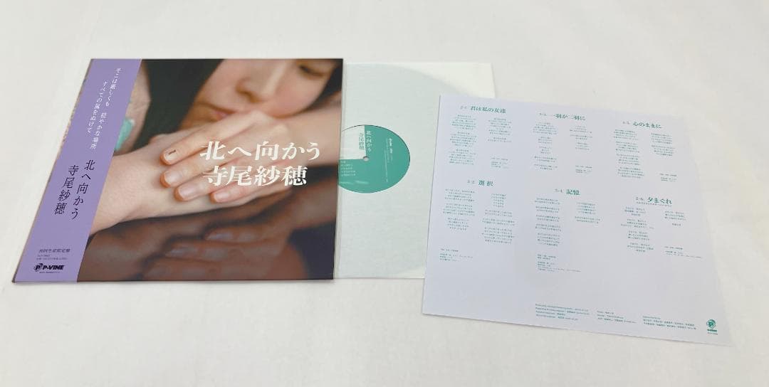 寺尾紗穂／北へ向かう 12inchレコード 【完全限定生産盤】