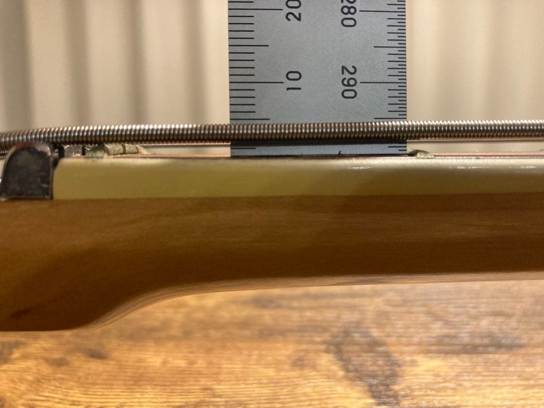 気まぐれ最終値下げ！guyatone EB-25