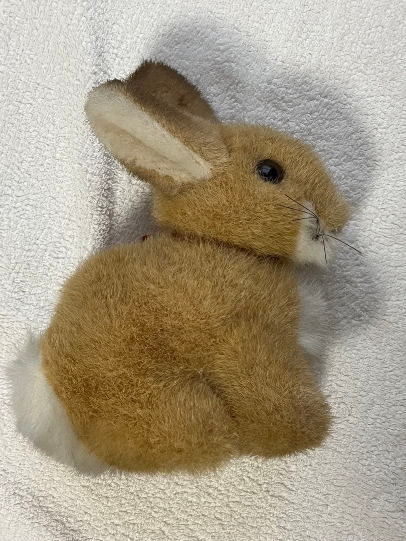 美品　レア　シュタイフ　うさぎ　ぬいぐるみ　Steiff コレクション　タグ付き